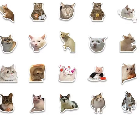 sticker de gatos memes